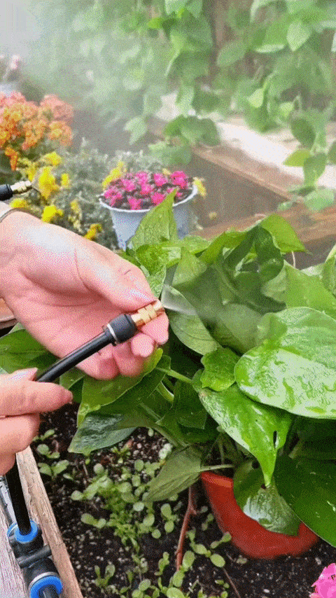 🔥2026 HOT SALE 49% OFF💗 360° Curved Garden Automatic Irrigation System